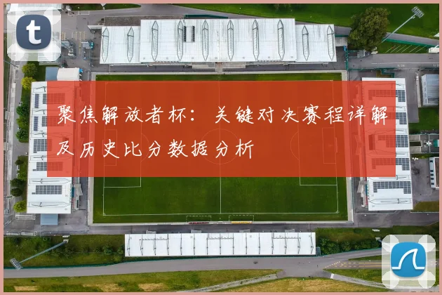 聚焦解放者杯：关键对决赛程详解及历史比分数据分析