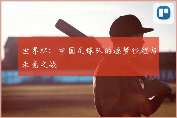世界杯：中国足球队的逐梦征程与未竟之战