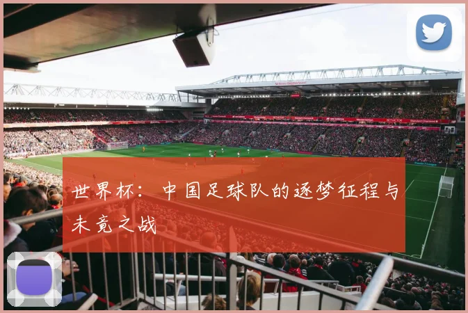 世界杯：中国足球队的逐梦征程与未竟之战