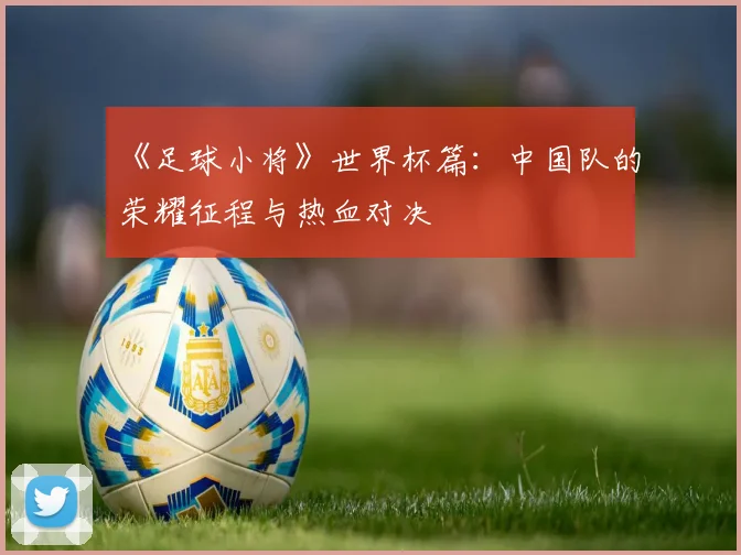 《足球小将》世界杯篇：中国队的荣耀征程与热血对决